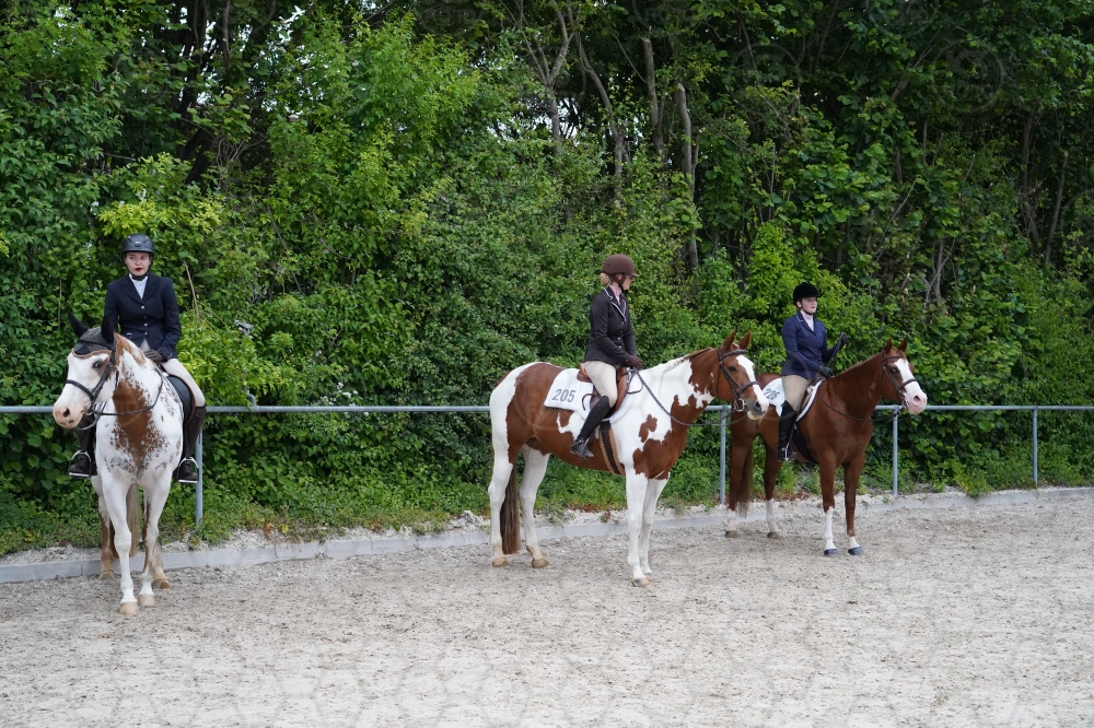 s_A7_08761.jpg